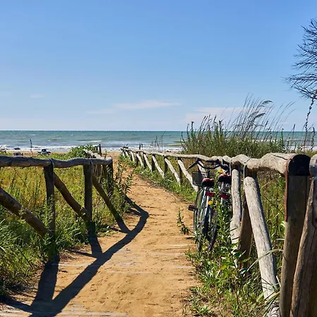 Beautiful Lighted By The Sun - Beahost * Bibione